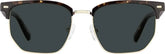 Tortoiseshell Browline Sunglasses #1137725