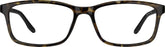 Tortoiseshell Boston Strong Glasses #2044025
