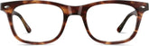 Tortoiseshell Parquet Pride Glasses #4443925