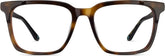 Tortoiseshell Spotlight Glasses #4460825