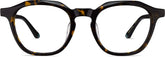 Tortoiseshell Surfwatch Glasses #4460925