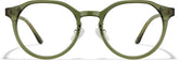 Olive Green Headliner #4480224