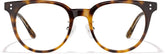 Tortoiseshell Evolved #4480325