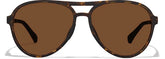 Tortoiseshell Zunnies -Aviator Sunglasses #99115925